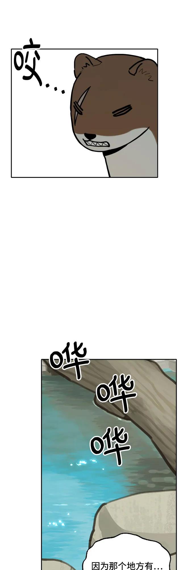 43.jpg