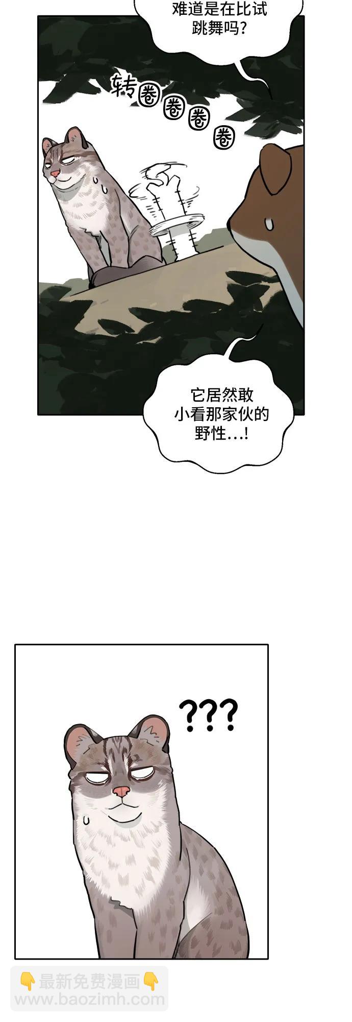 15.jpg