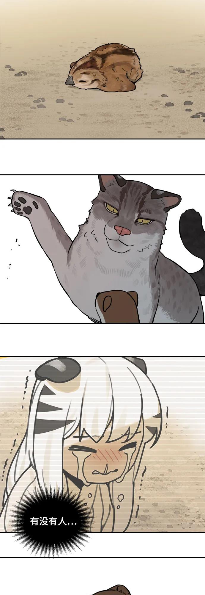 13.jpg