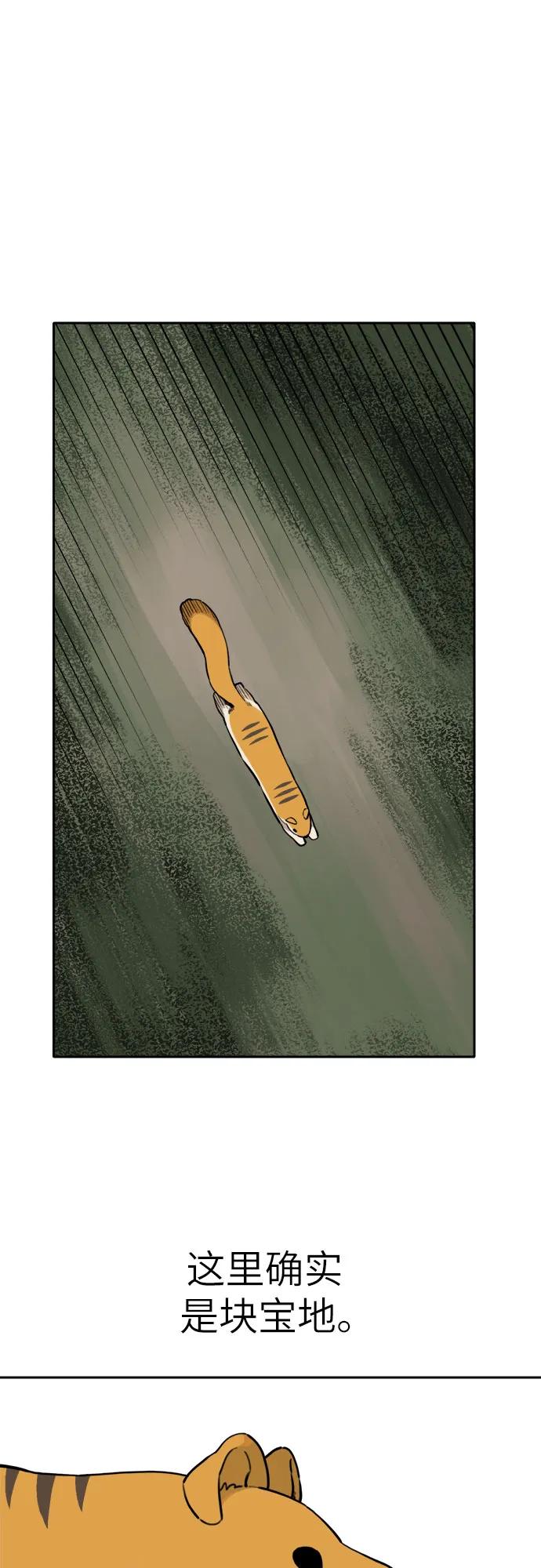 34.jpg