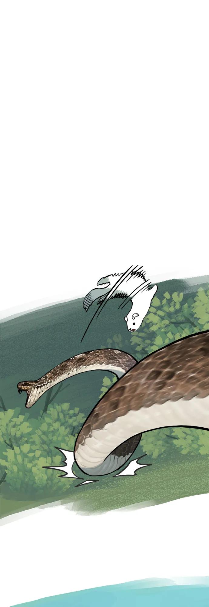 43.jpg
