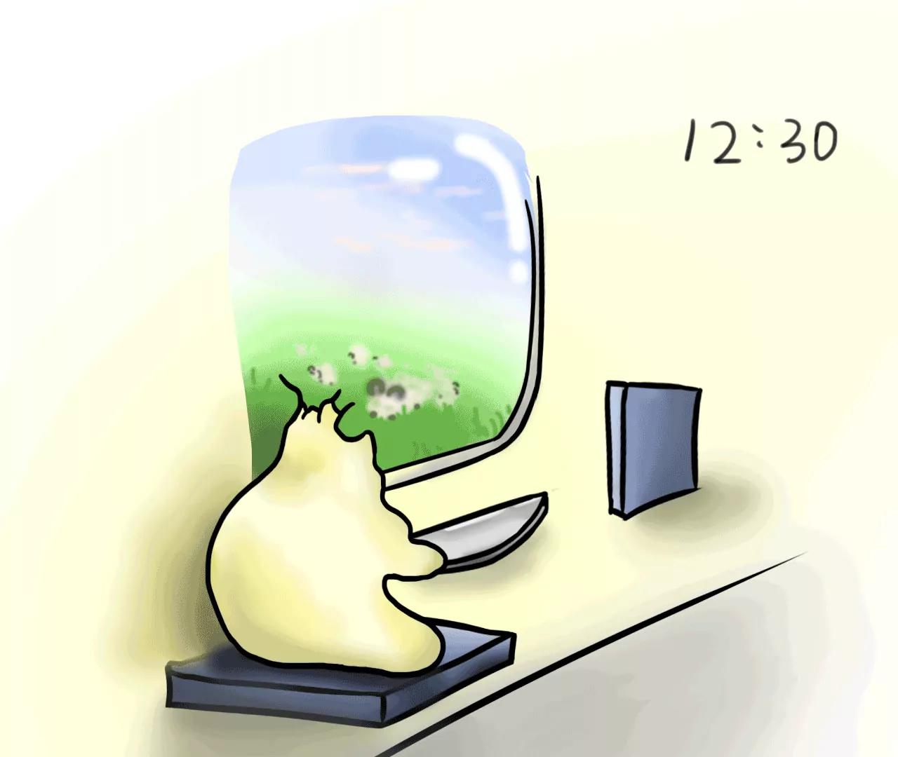 16.jpg
