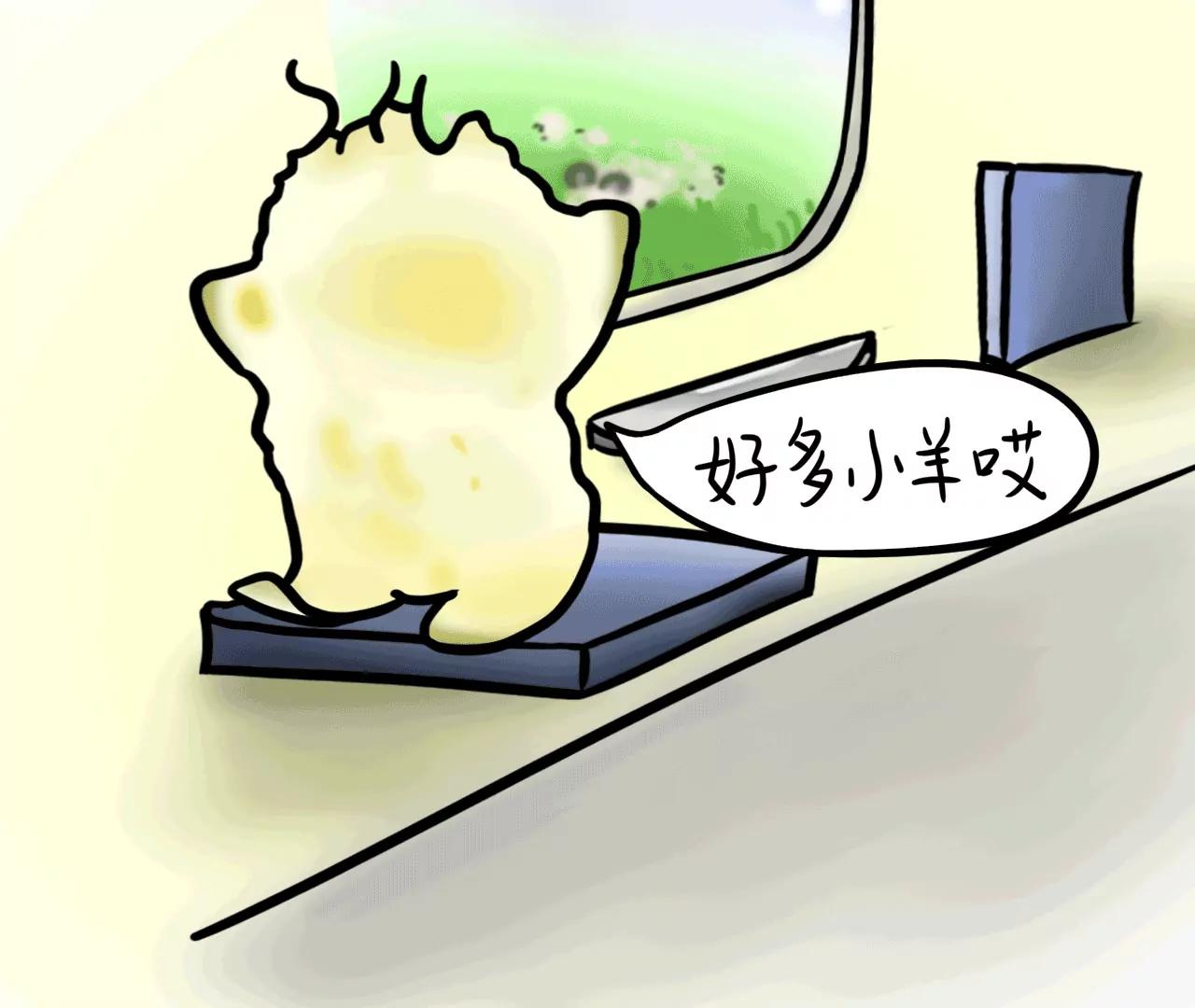 17.jpg