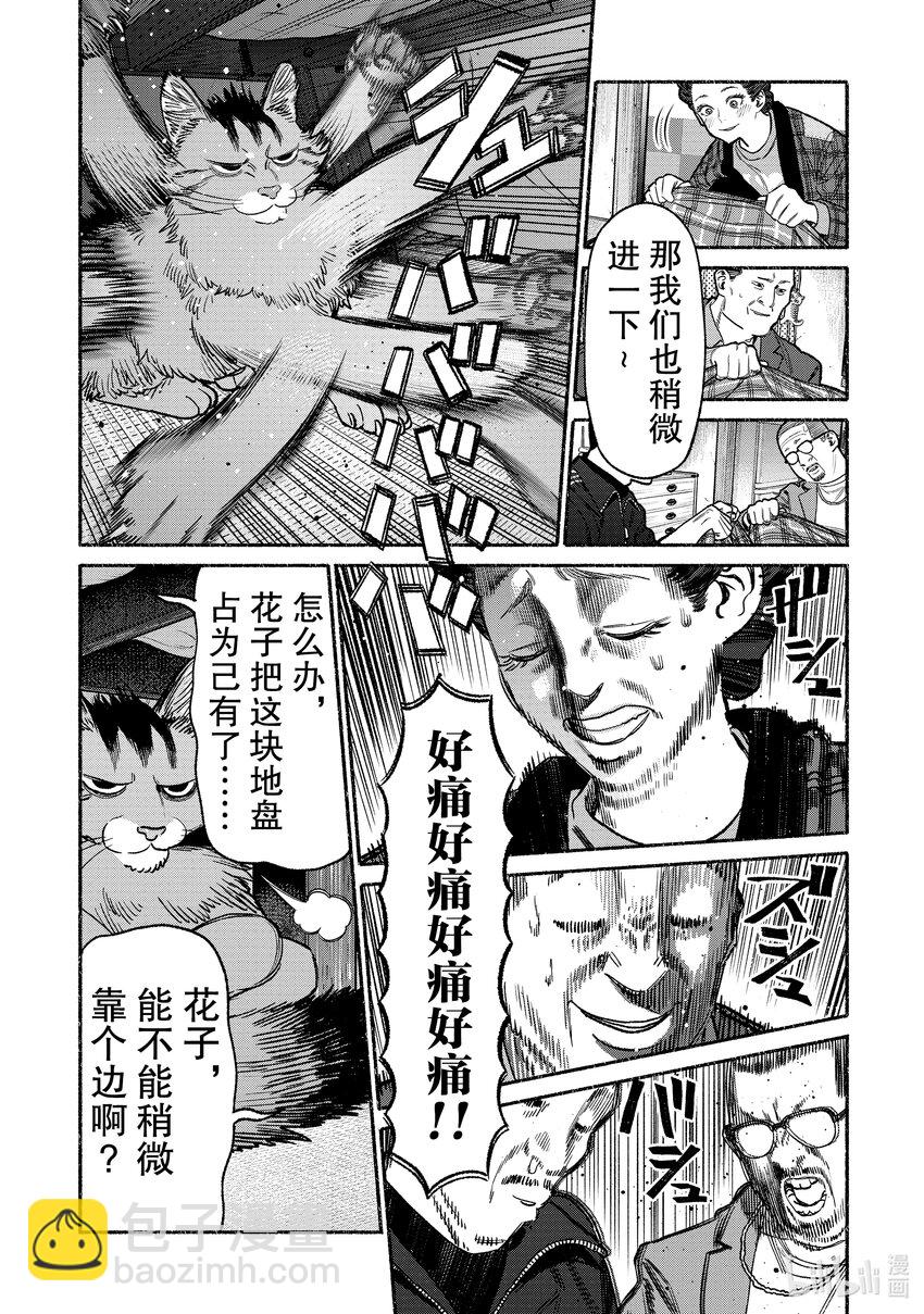 11.jpg