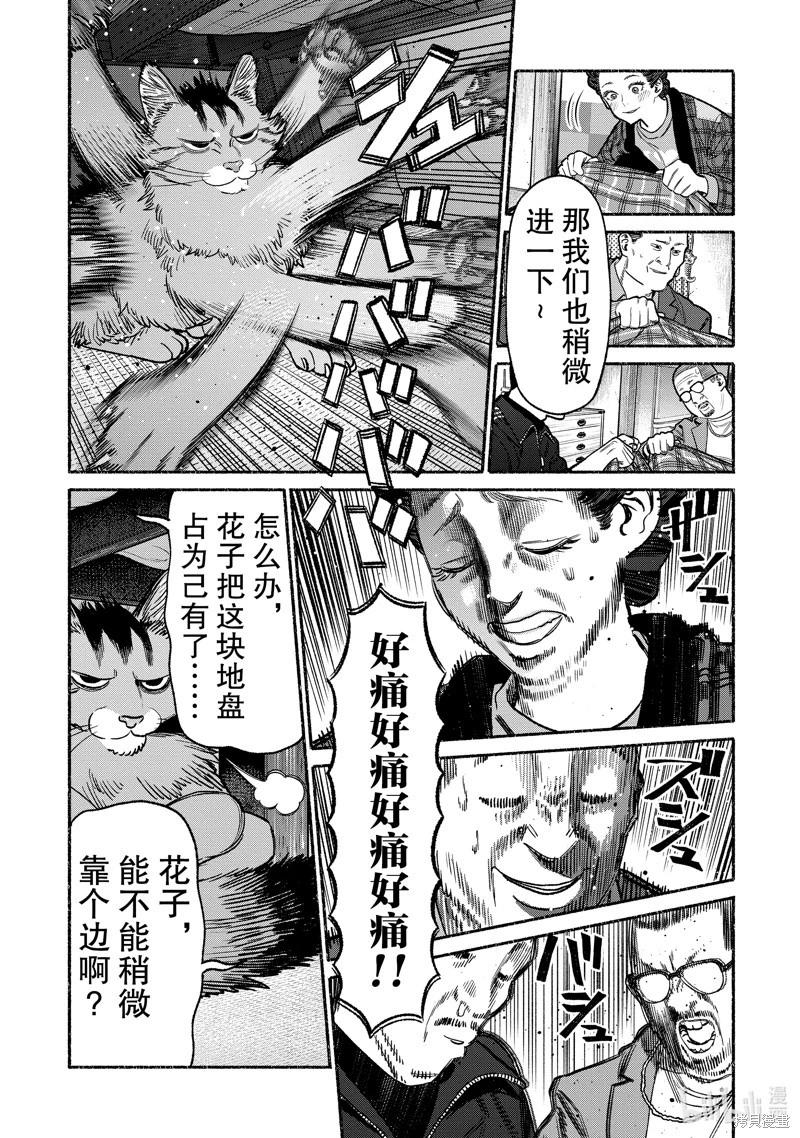 11.jpg