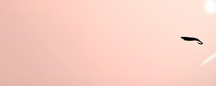 120.jpg