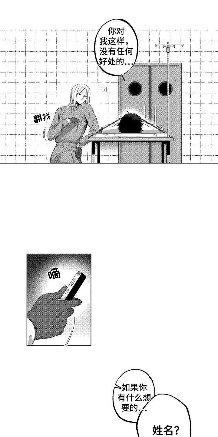 17.jpg