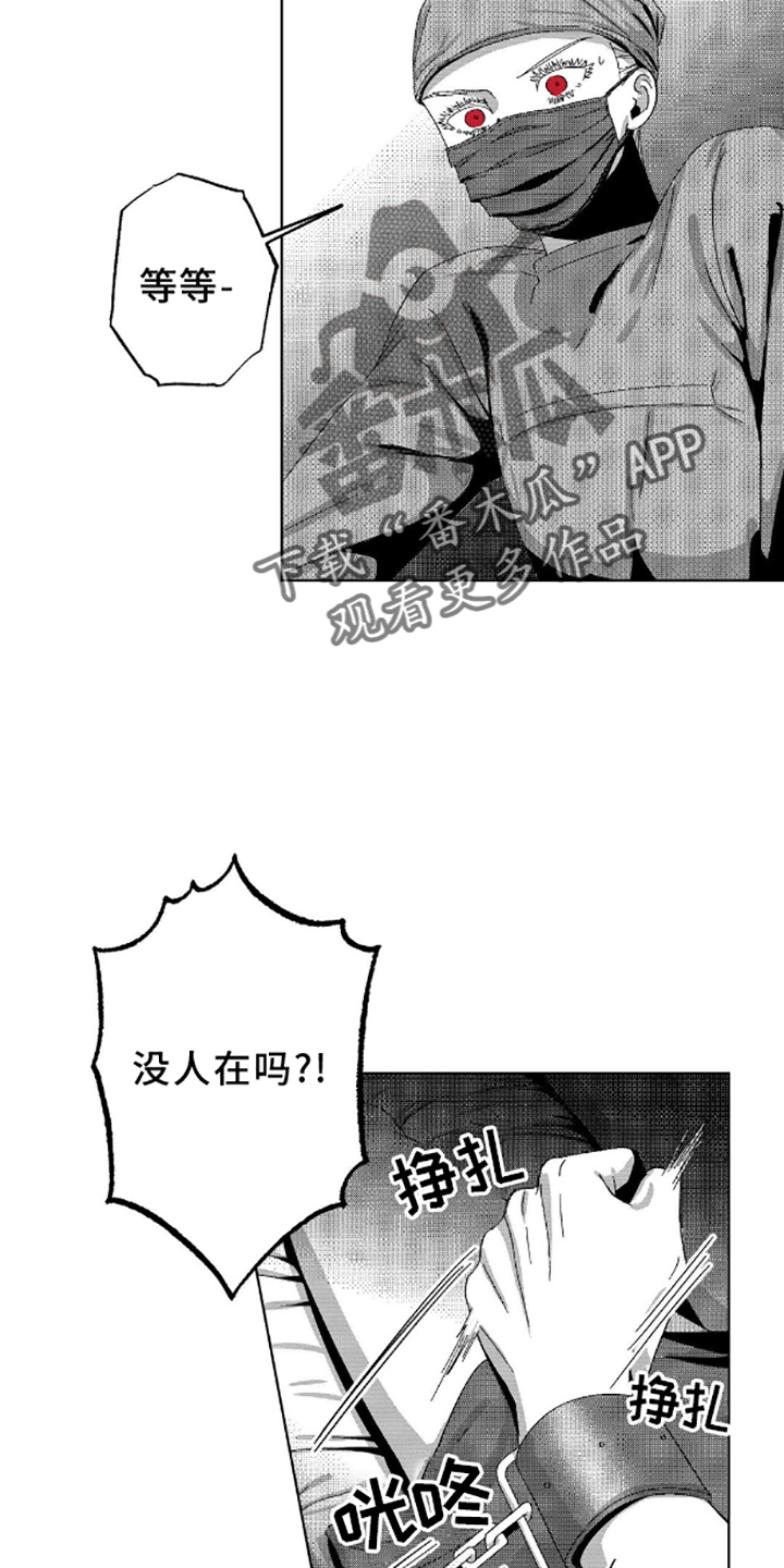 26.jpg
