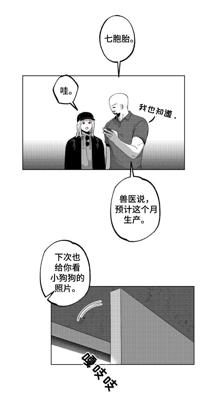 13.jpg