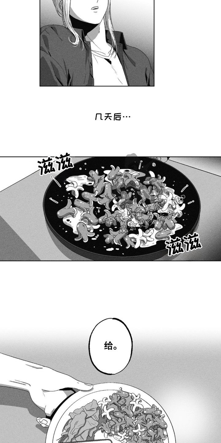 24.jpg