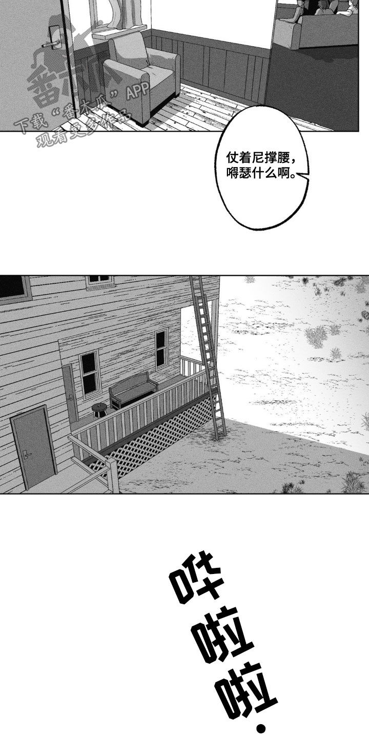 13.jpg