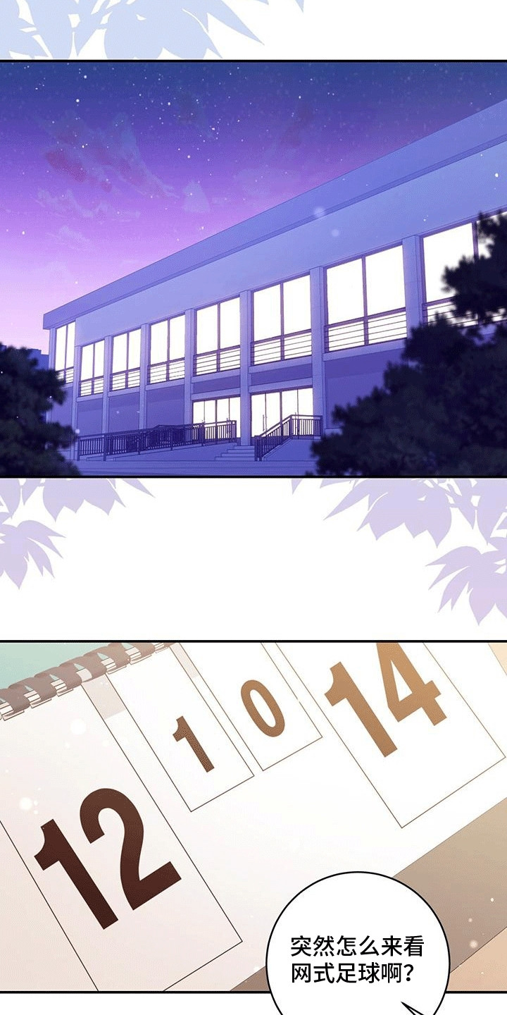 15.jpg