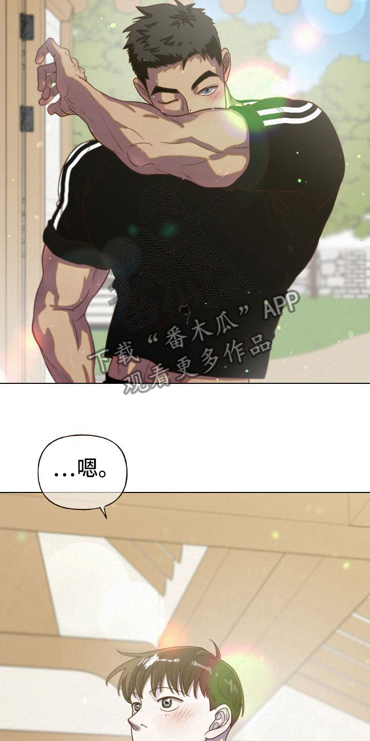21.jpg