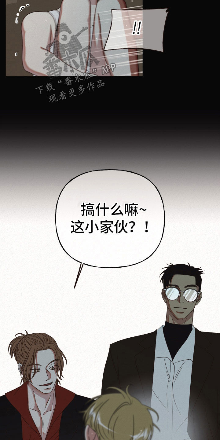 15.jpg