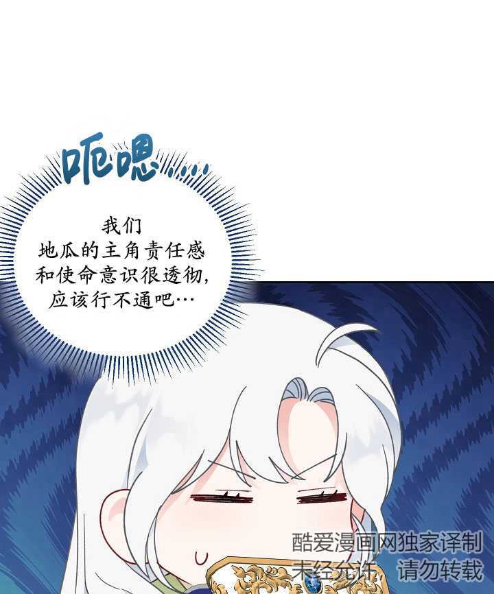 47.jpg