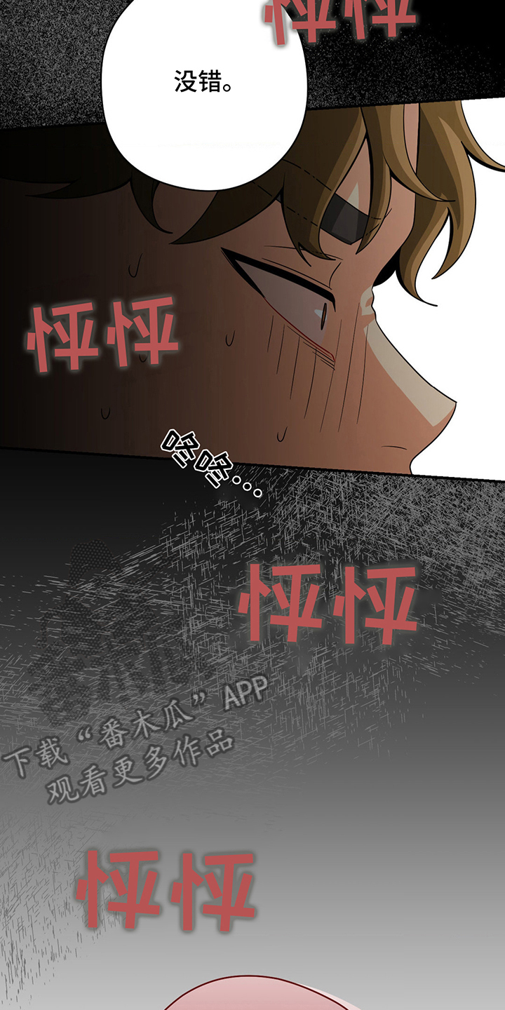 12.jpg