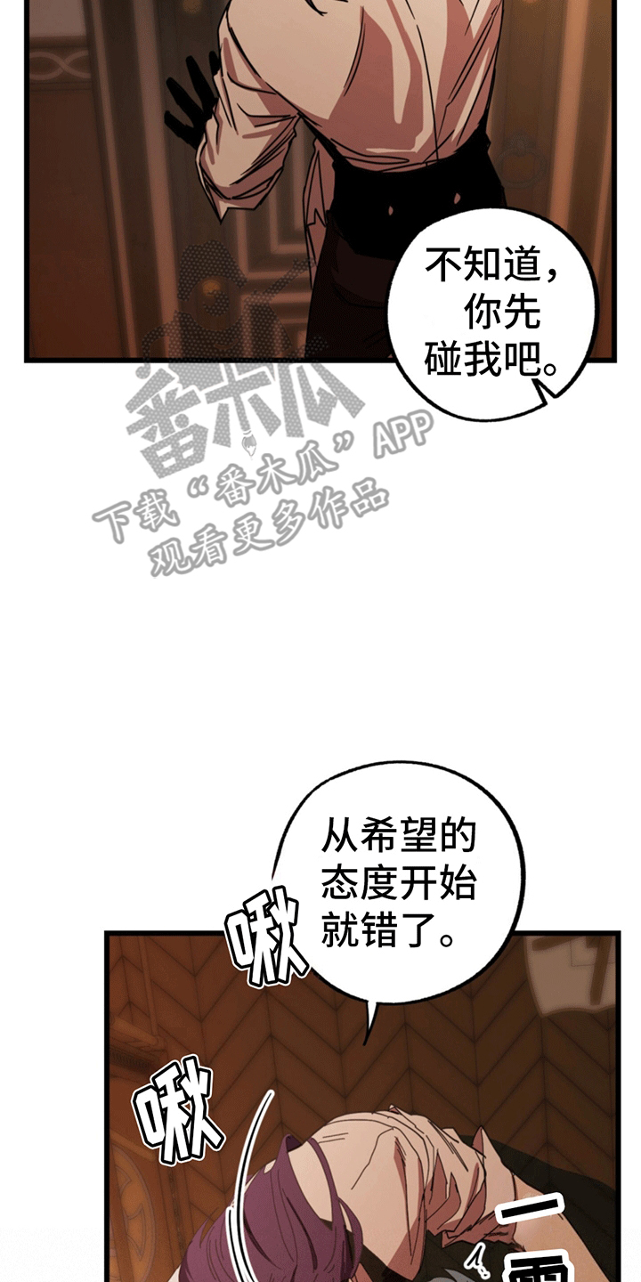 13.jpg
