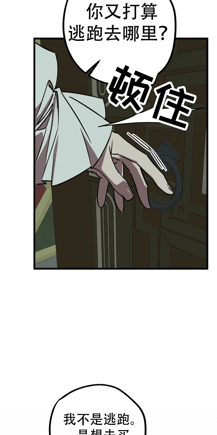 23.jpg