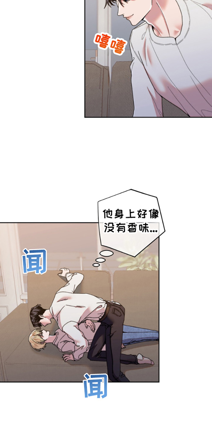 15.jpg