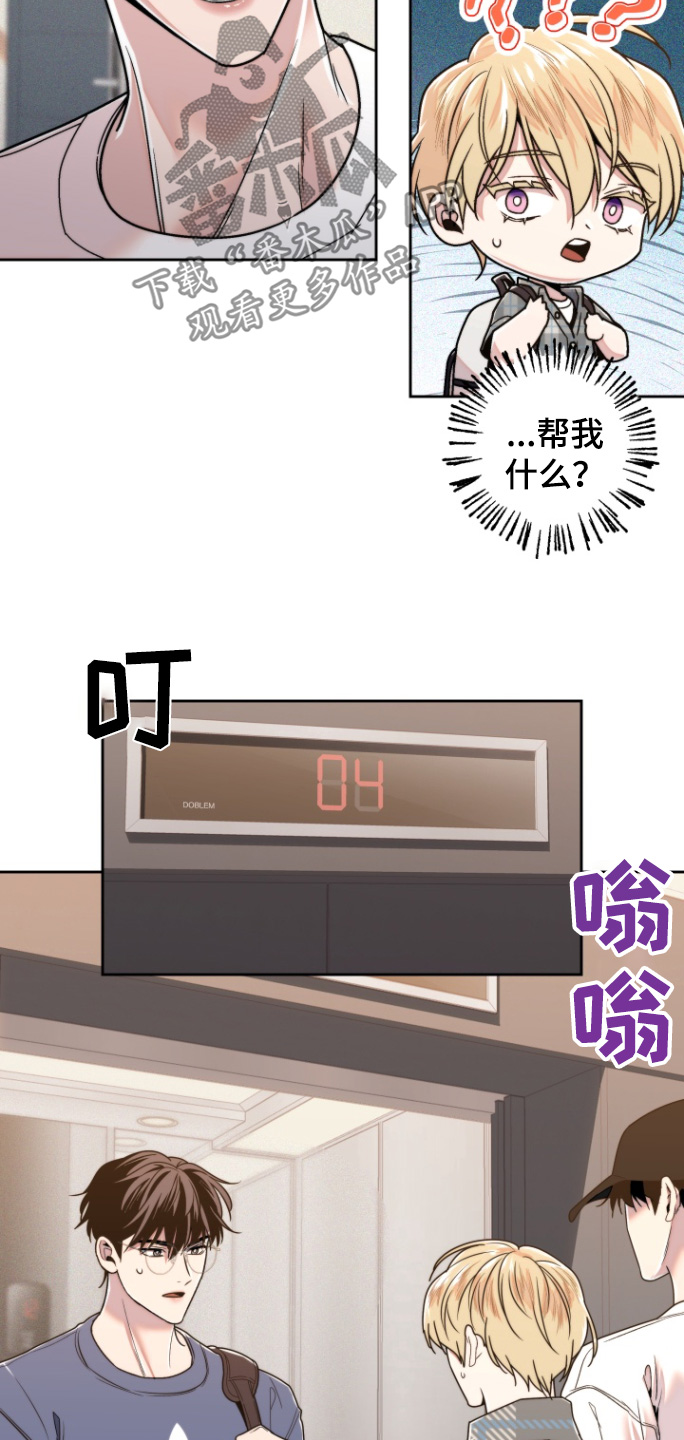 17.jpg