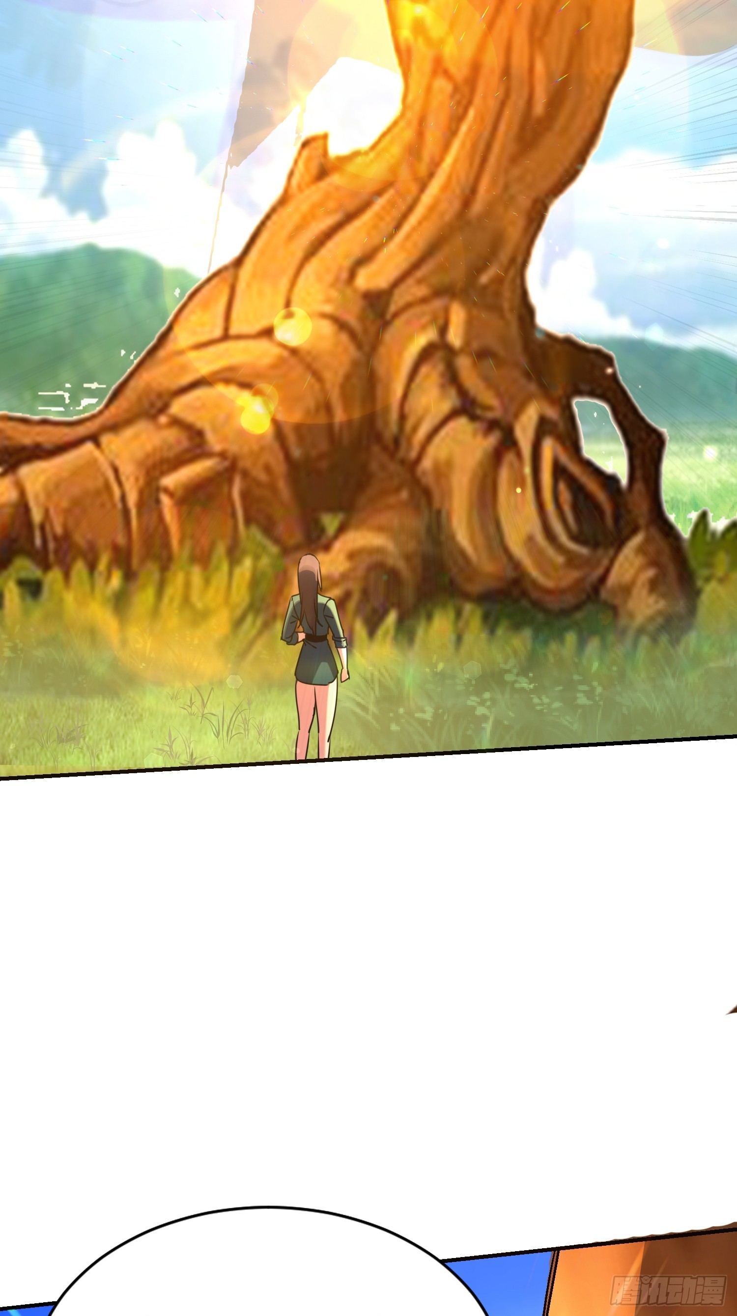 48.jpg