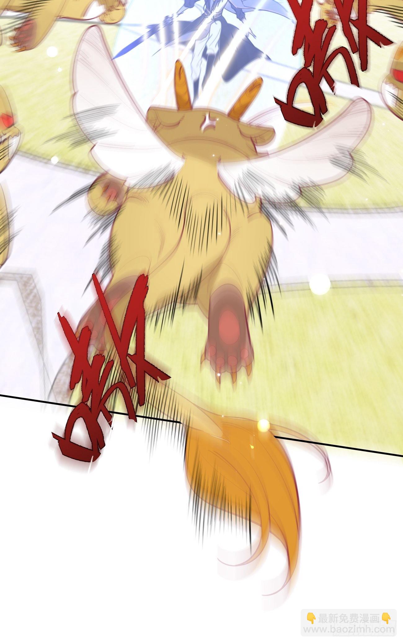 35.jpg