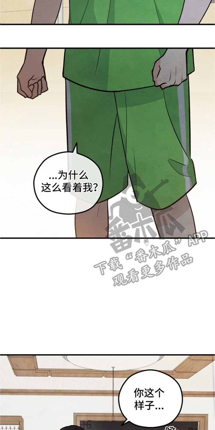 17.jpg