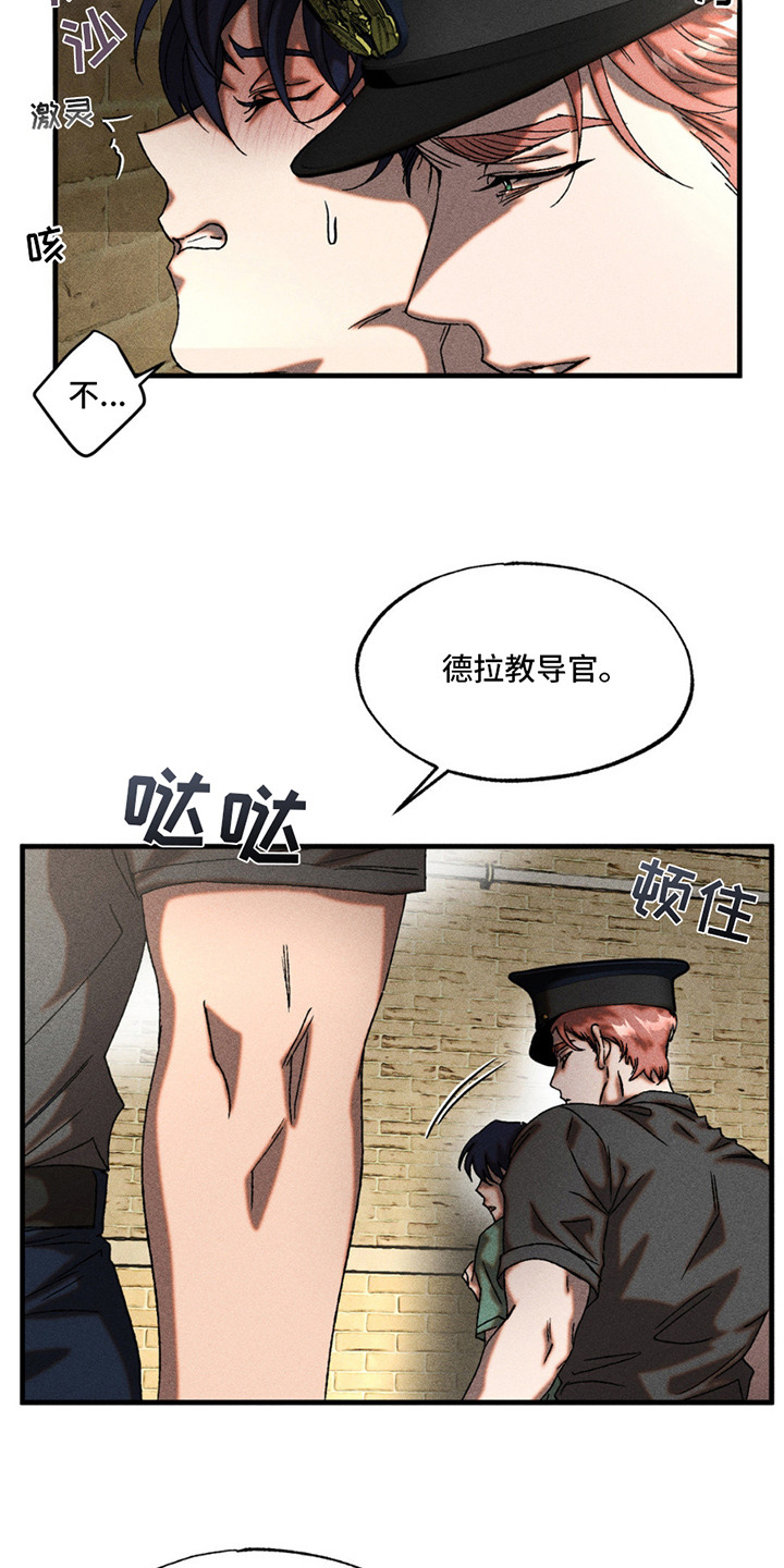 15.jpg