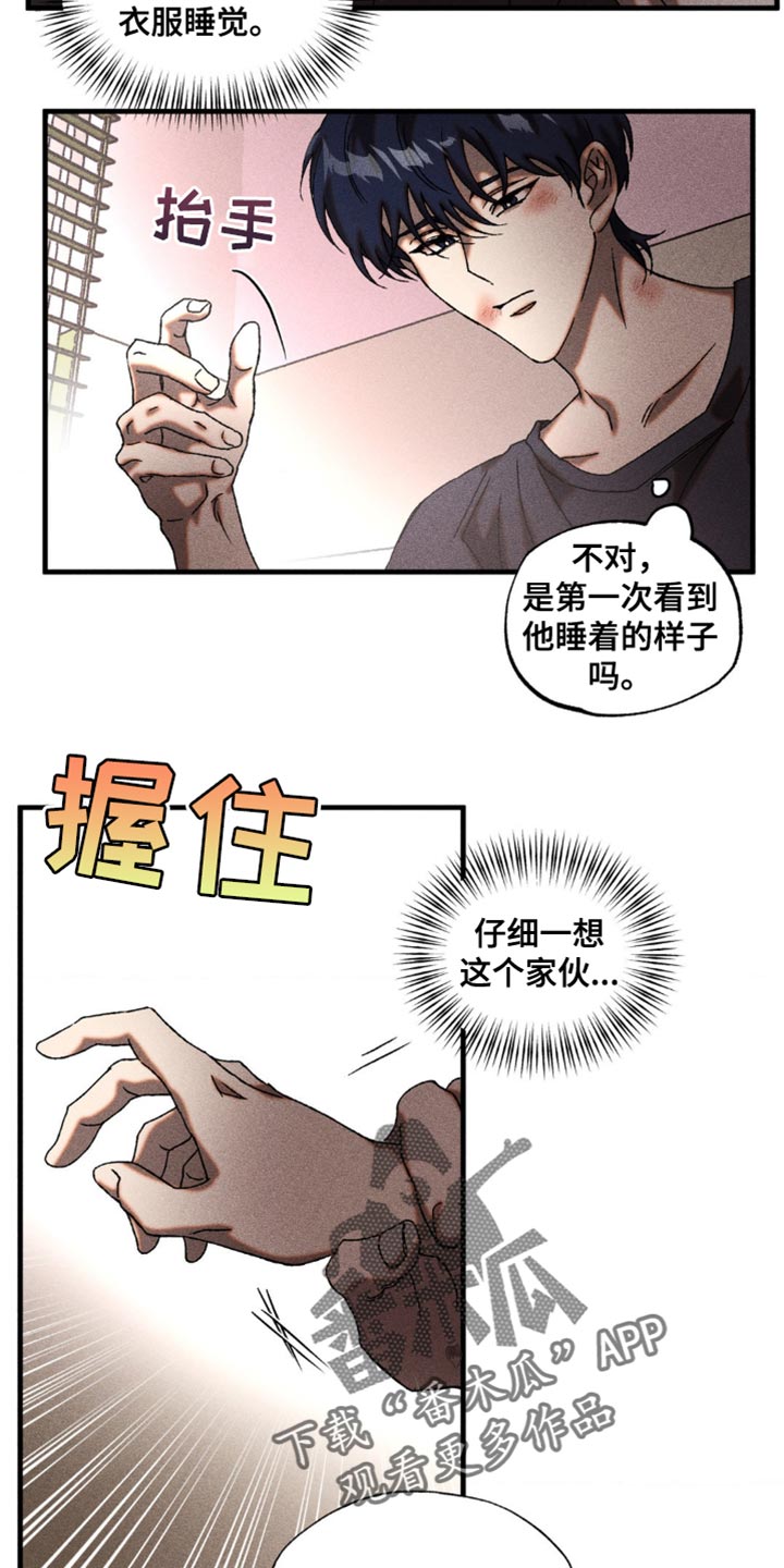 13.jpg