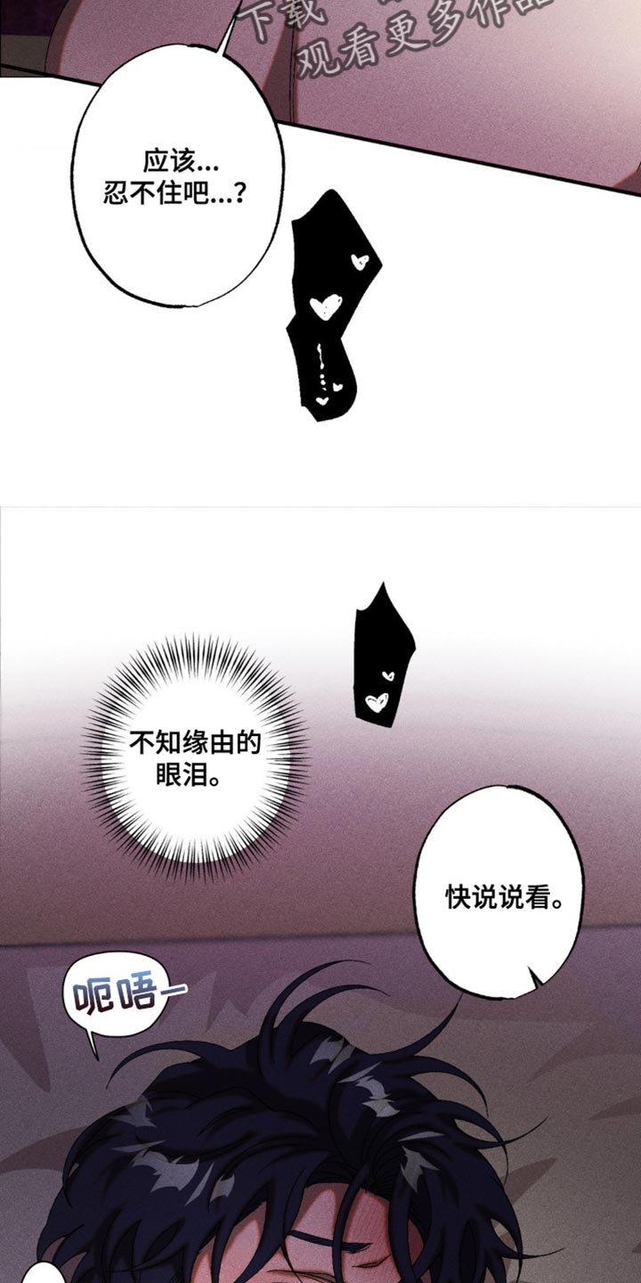 13.jpg