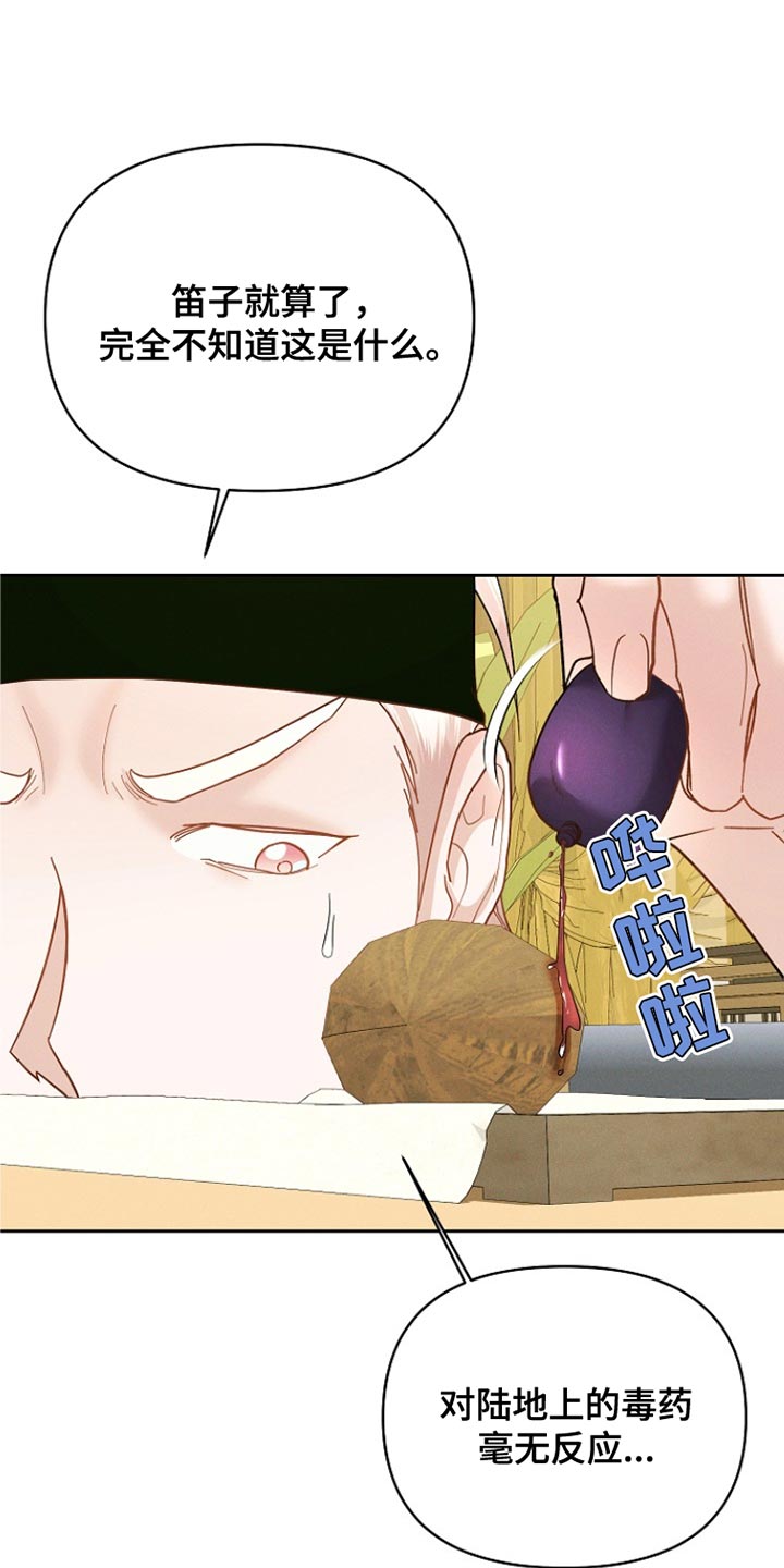 14.jpg