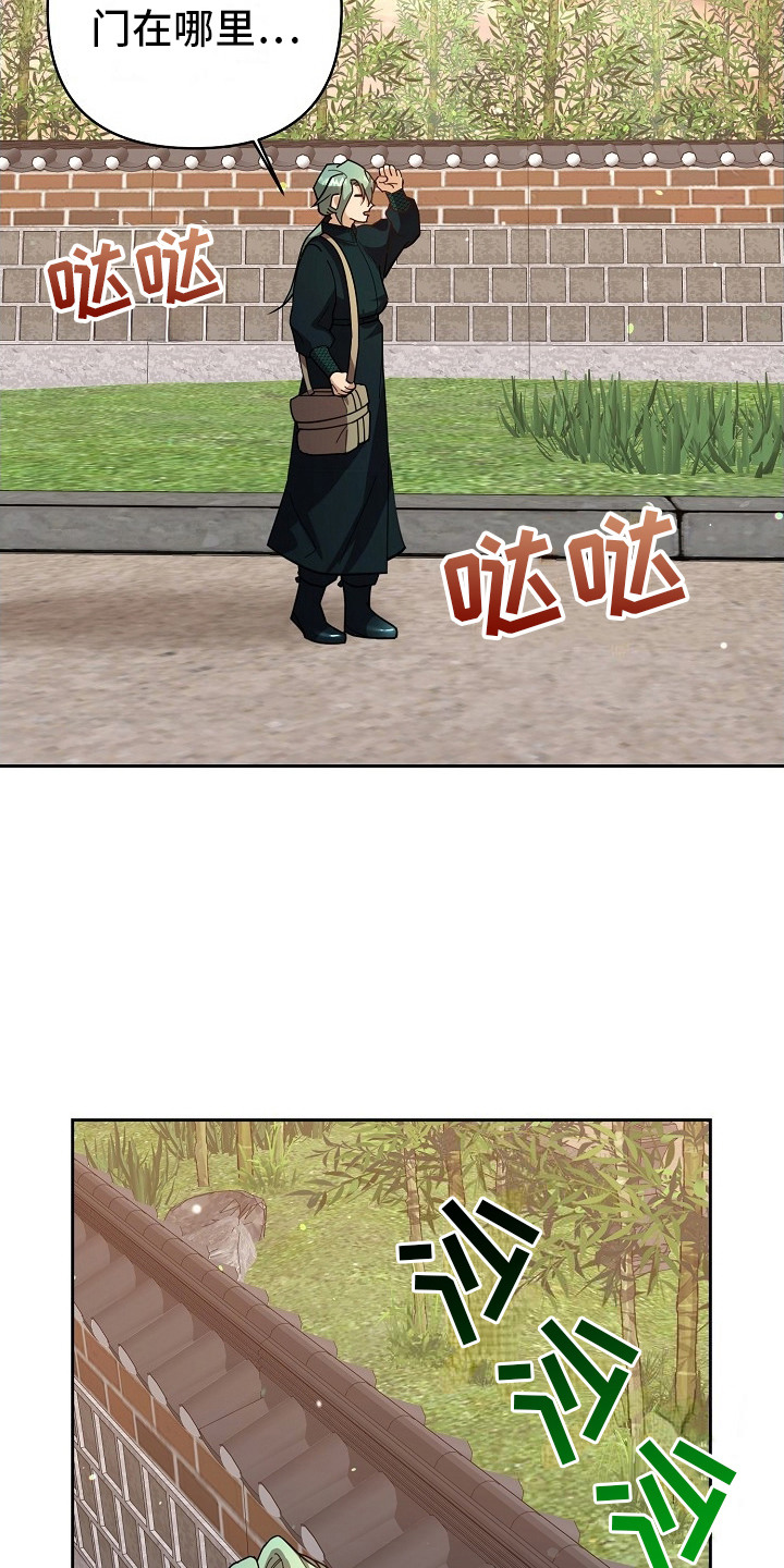 19.jpg