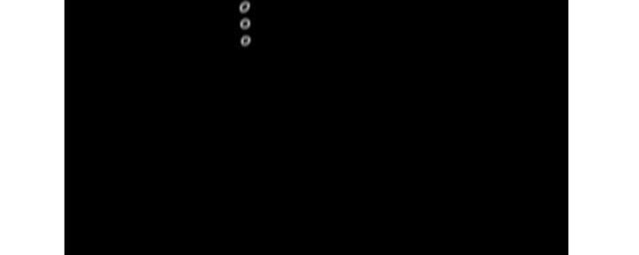 161.jpg