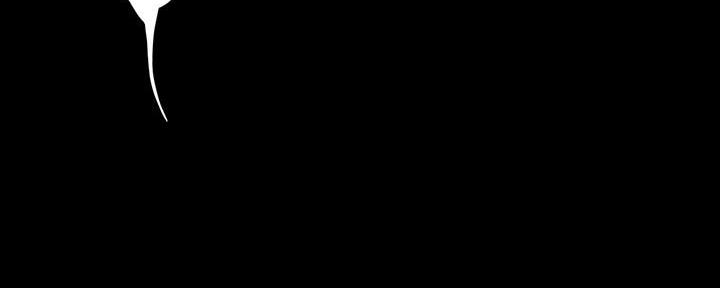 136.jpg