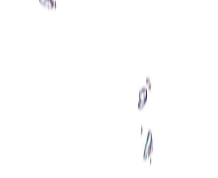 123.jpg