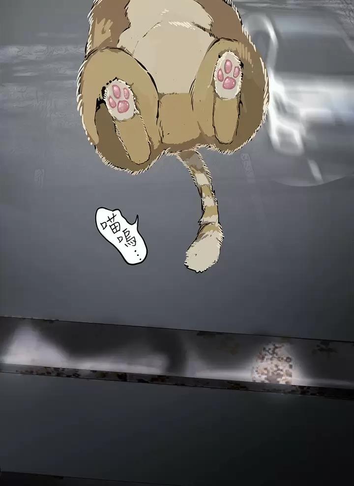 35.jpg