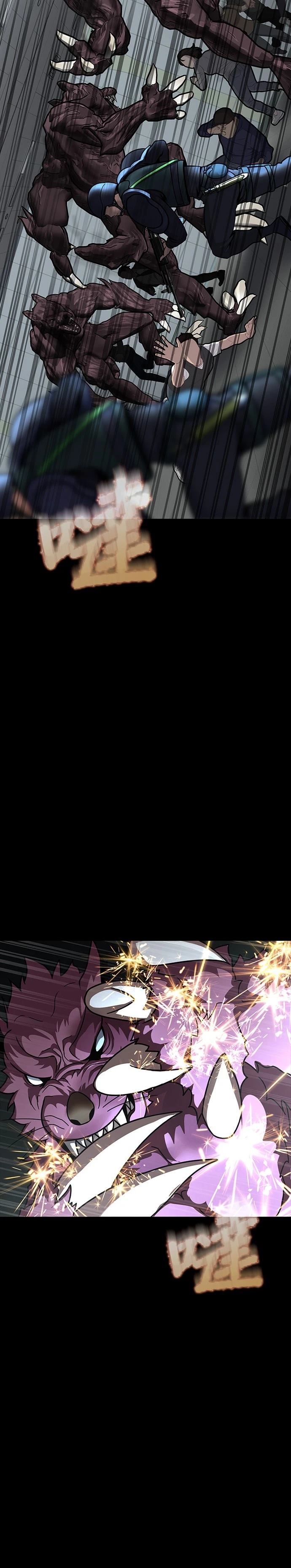 46.jpg