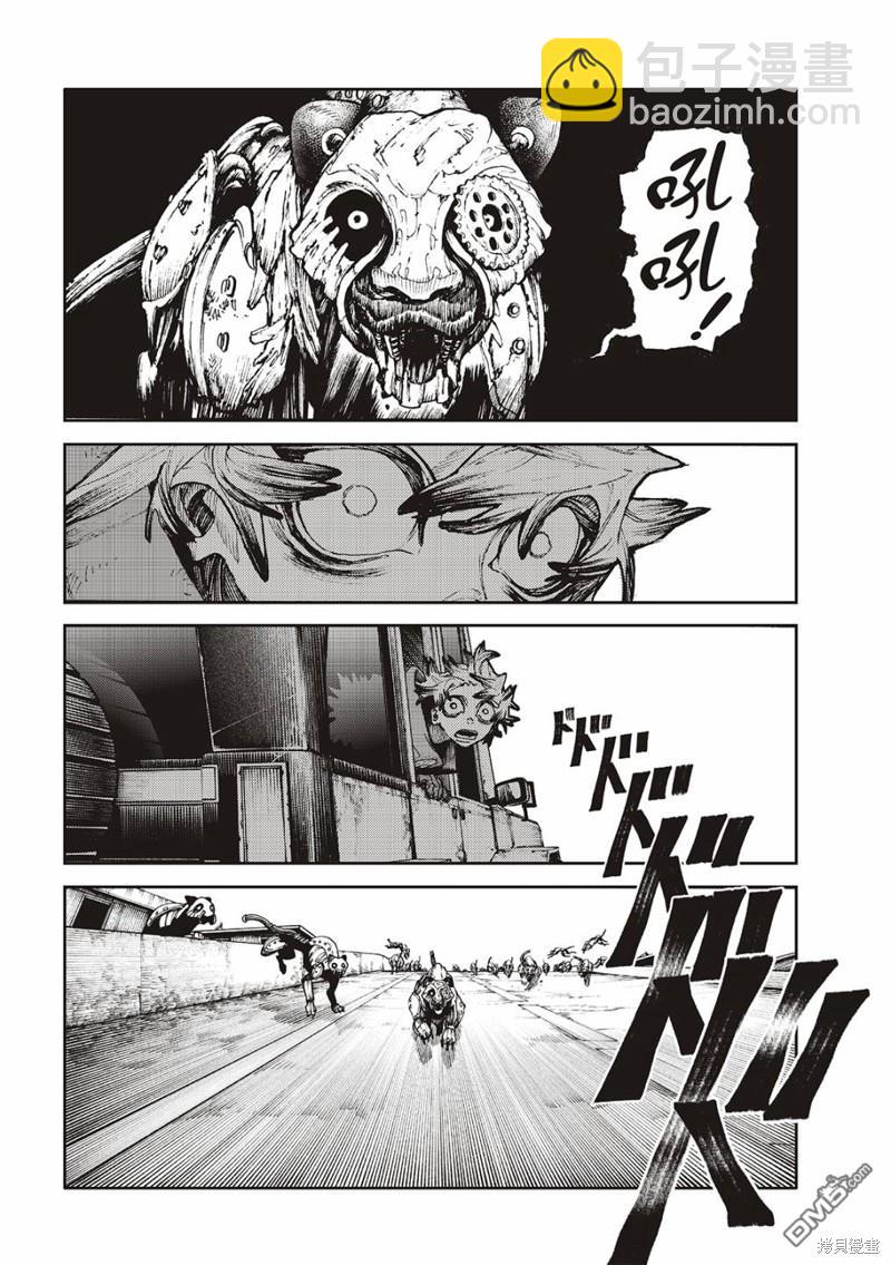 14.jpg
