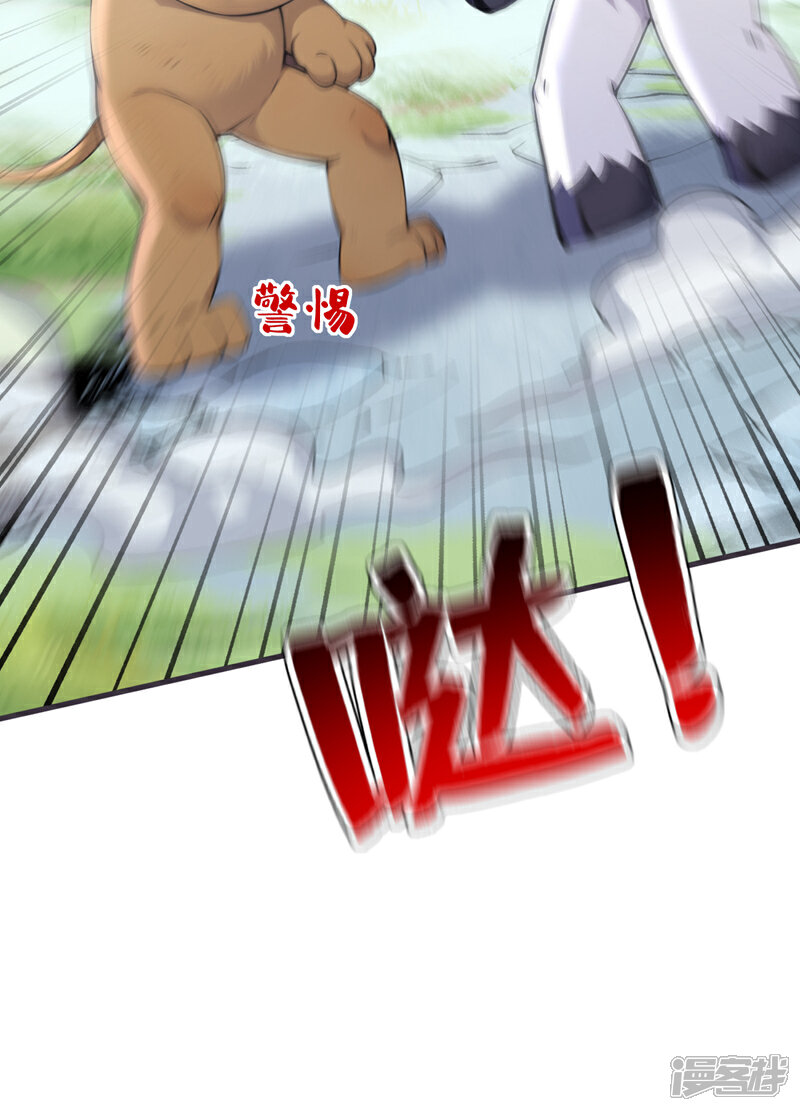 33.jpg