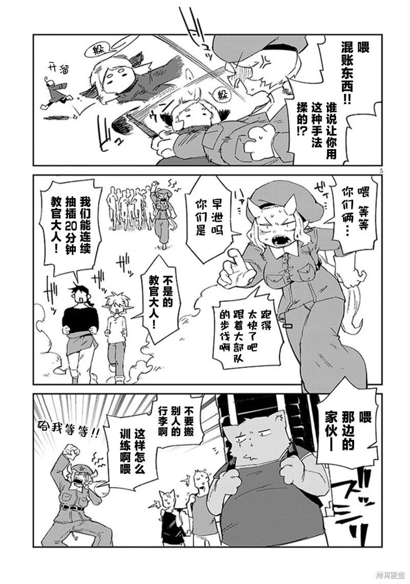 5.jpg
