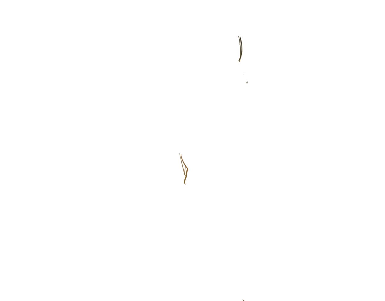 46.jpg