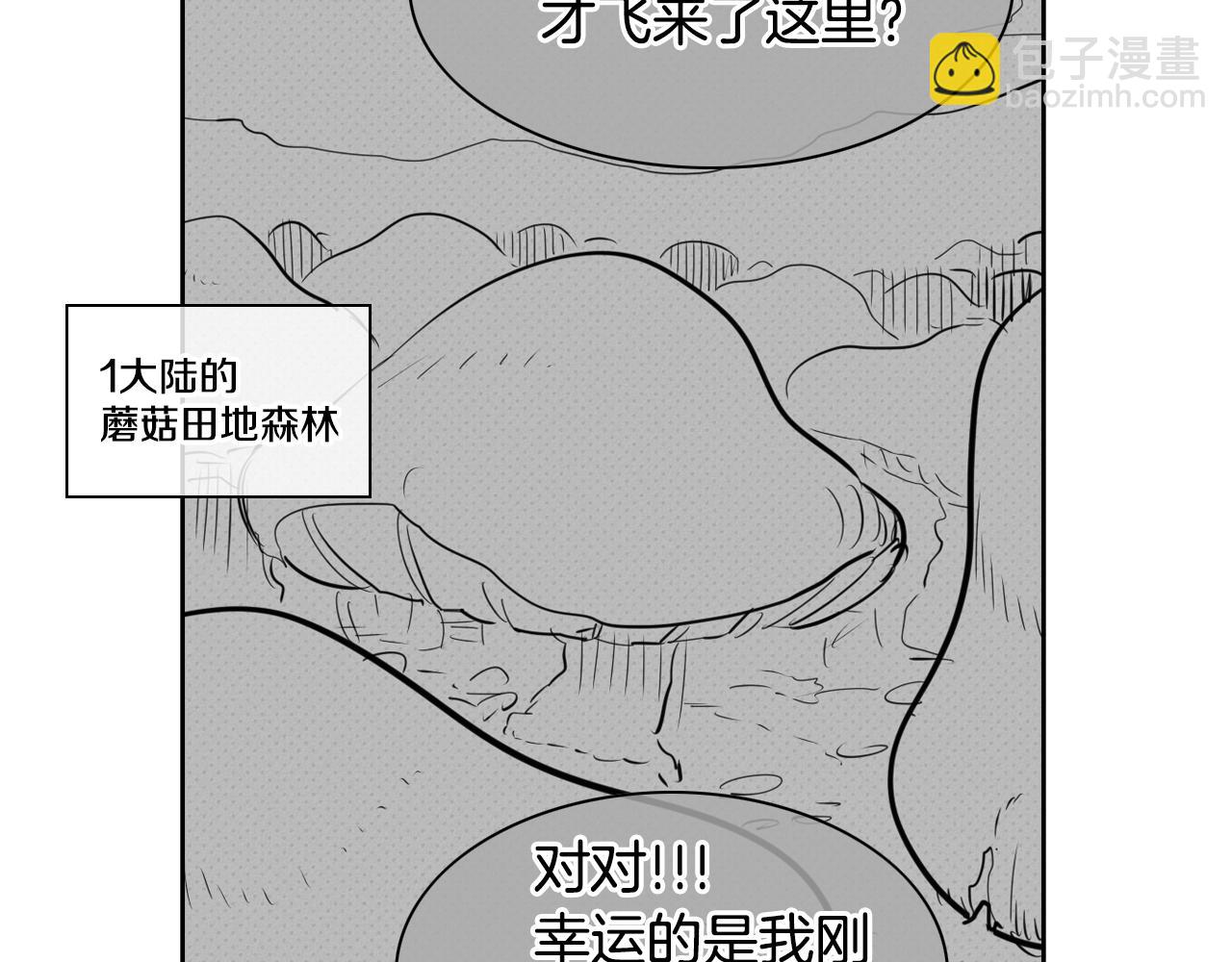 43.jpg