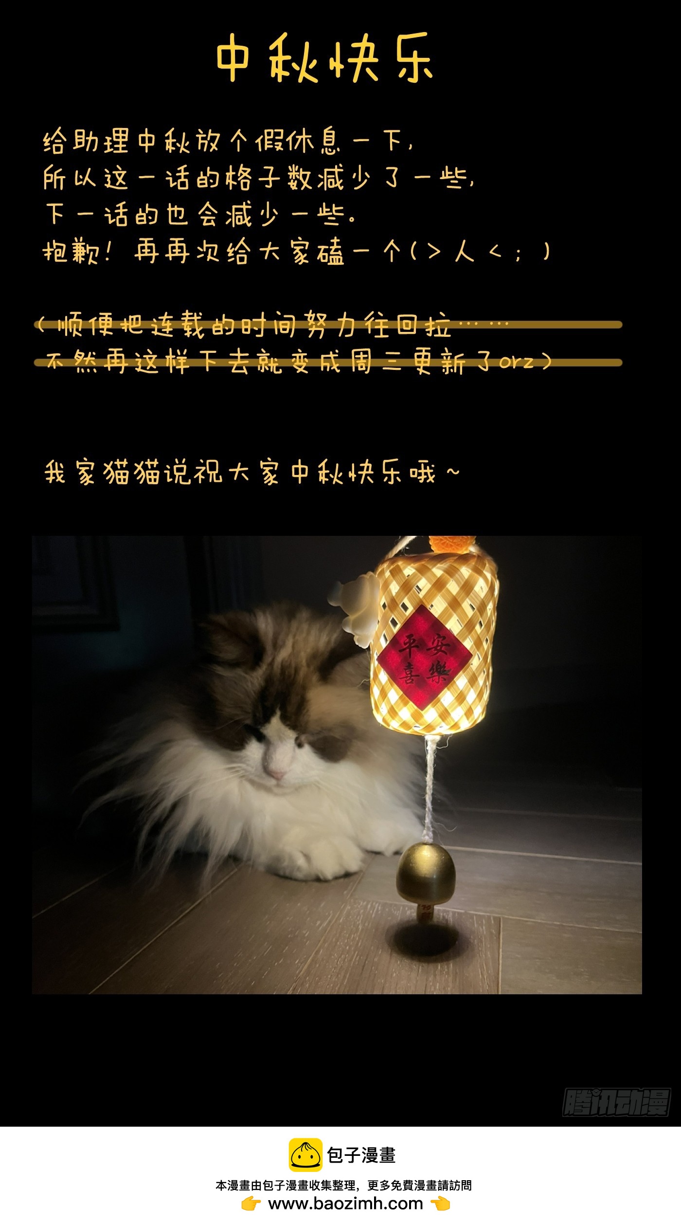 49.jpg
