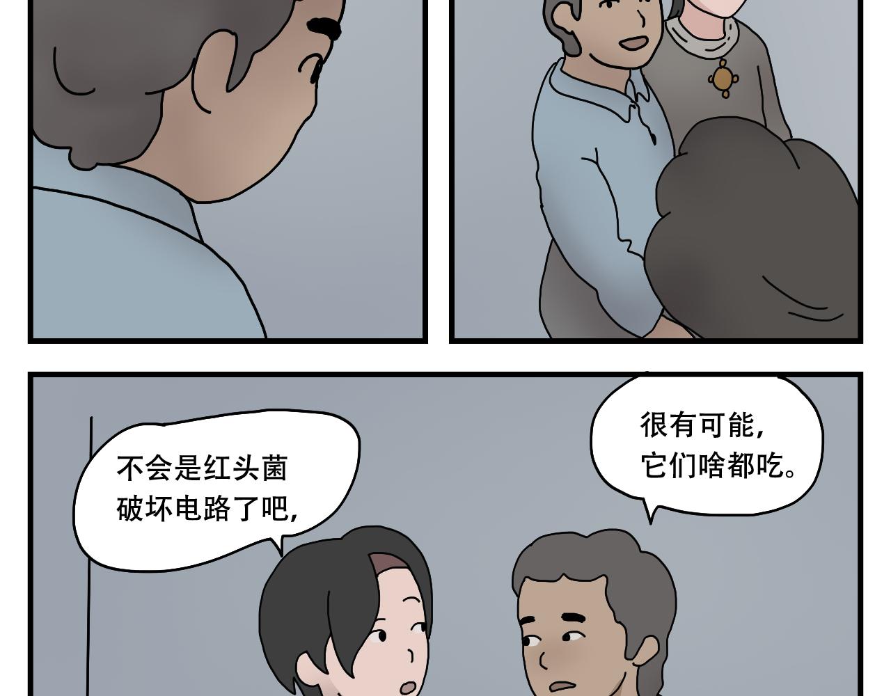 39.jpg