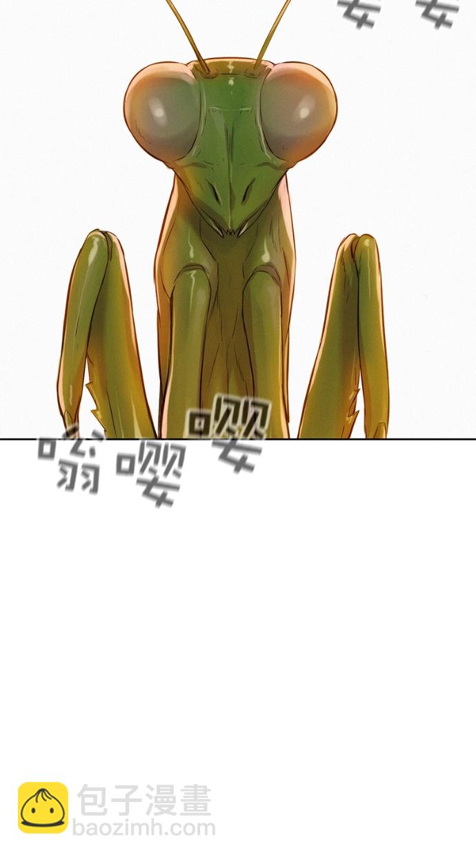 42.jpg