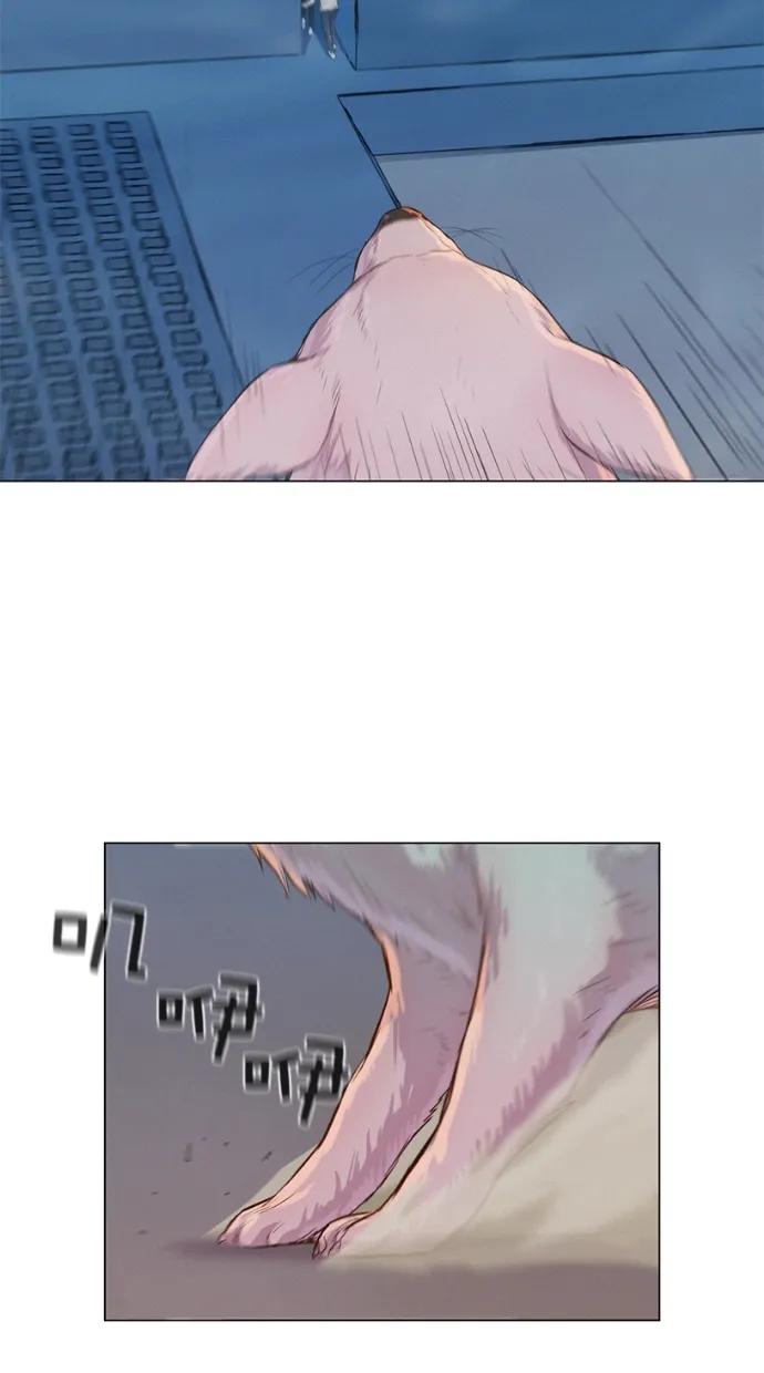 41.jpg