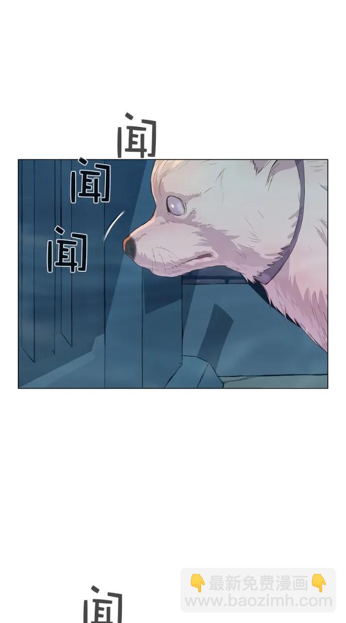 42.jpg