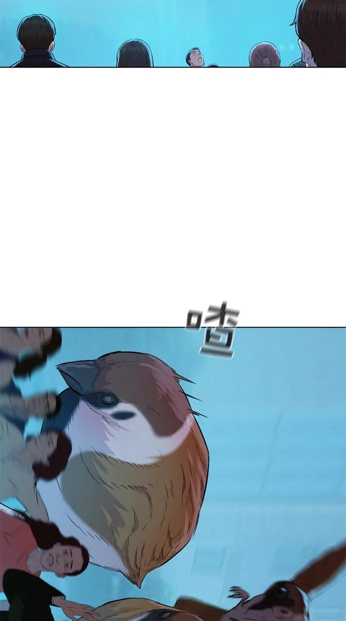 48.jpg