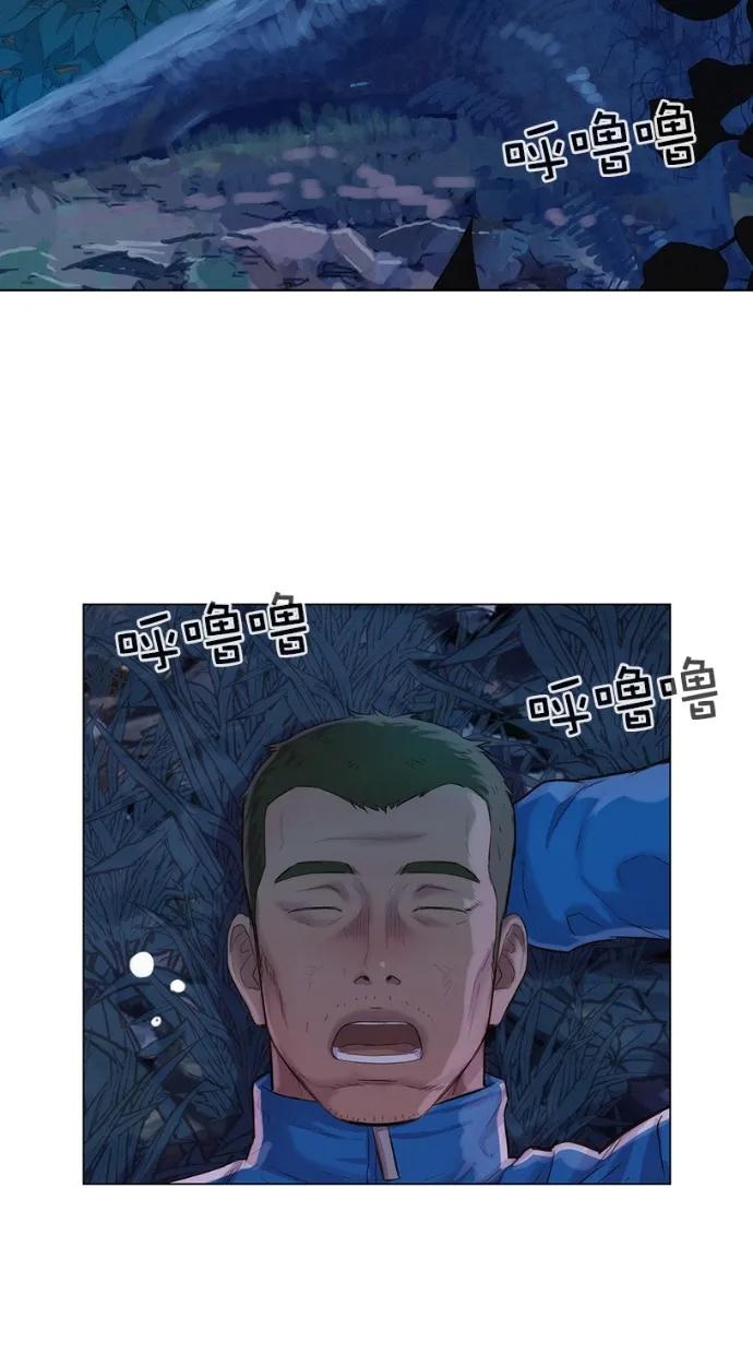 41.jpg