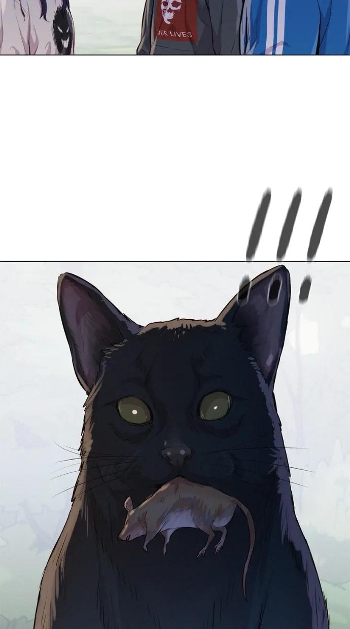 39.jpg